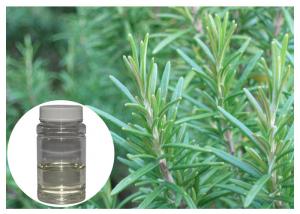 Buy cheap Colorless Rosemary Oil Extract , Fresh Smell Rosemary Essential Oil For Bath Product product