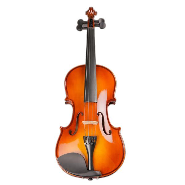 Violin china play Beethoven Violin Sonata No.5 Universal Violin Accessories Professional Use Classical Box For Violin