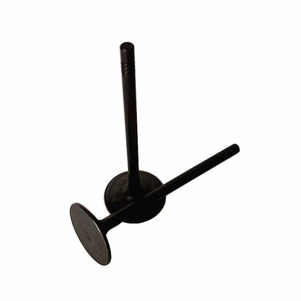 3142h091 30 Degree Angle Inlet Valves for Perkins Engine Parts C6.6 C4.4
