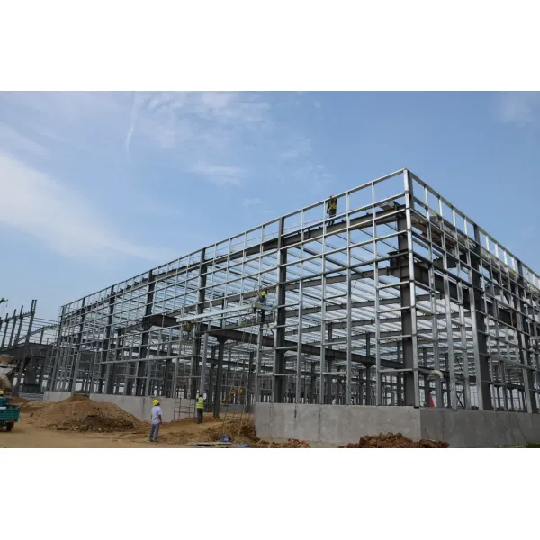 Prefabricated Light Steel Frame Kit Building Metal Gym/Store/Workshop