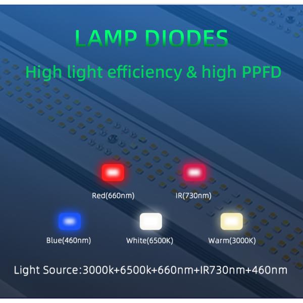 Horticulture Hydroponic LM281B 10 Bar Full Spectrum 1000W Led Grow Lights LM301H EVO for Indoor Plant