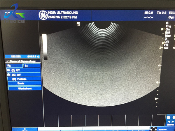 Microconvex Used Ultrasound Probe For Endocavity