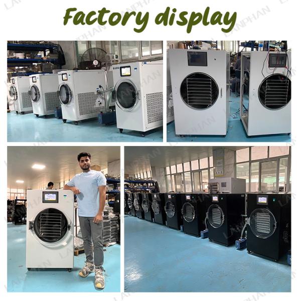3M2 Lanphan Candy Cake Freeze Dryer Machine Fruit Vegetable Freeze Drying Lypholizer Machine