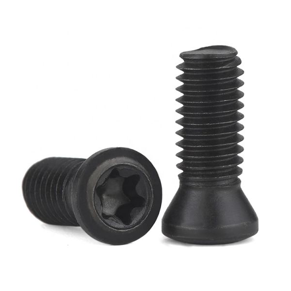 Stainless Steel Set Screw Insert Torx Screws For Milling Cutter Torx Plus Inserts M1.8-M5