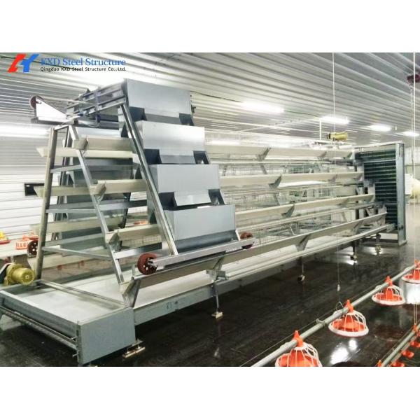 A Type Chicken Egg Laying Equipment Easy Install Automatic Poultry Breeding Equipment