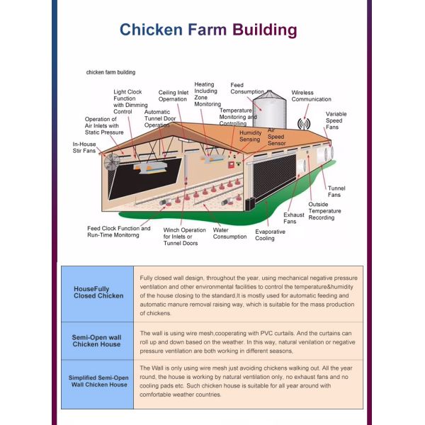 Large Span Steel Structure Chicken house Customizable for Poultry Farming