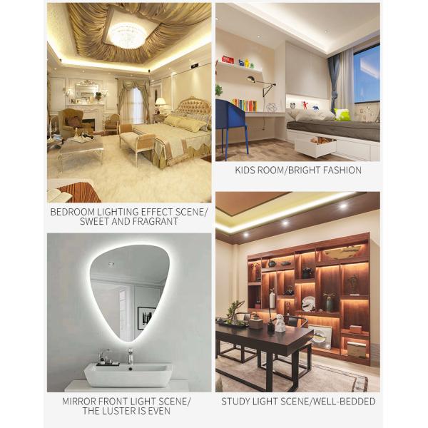 1903IC Remote Control IP68 12W LED Magic Strip Light