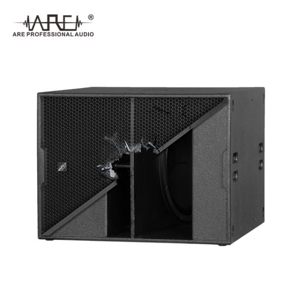 ARE AUDIO dual 12 inch passive outdoor line array speaker system for large events