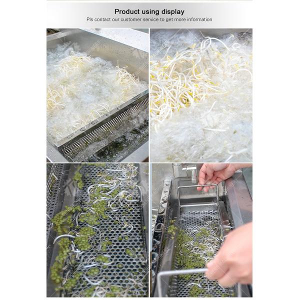 Single cylinder fruit and vegetable washing machine with slag separator Leaves Vegetables Onions Leafy vegetables Cabbage varieties Herbs Fruiting