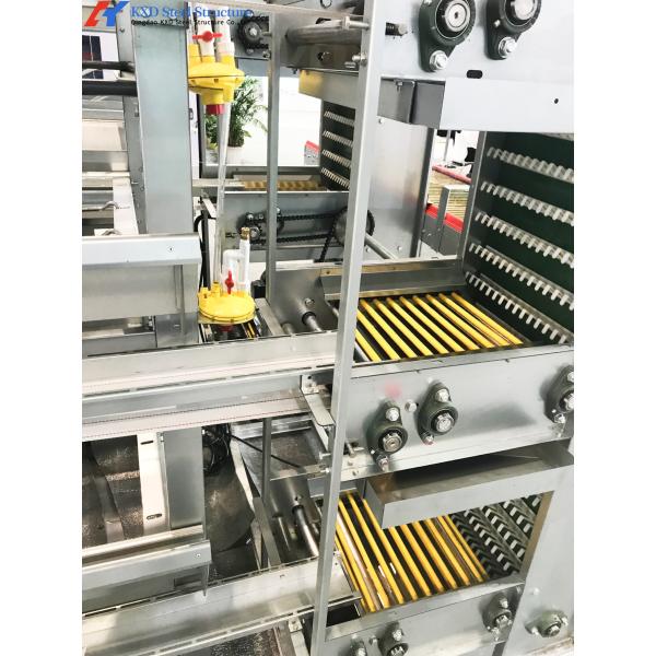 Steel Chicken Layer Cages A Type H Type Automated Battery Cage