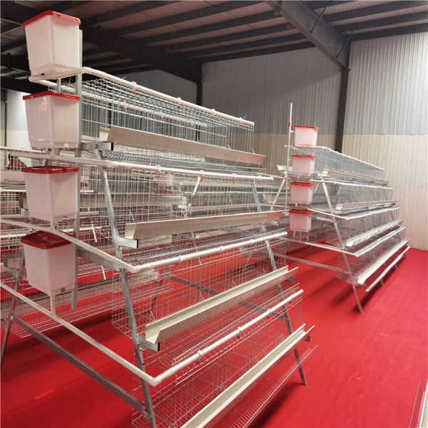 Durable Steel Structure Automated Poultry Farm Construction with Integrated Automation and Prefab Design