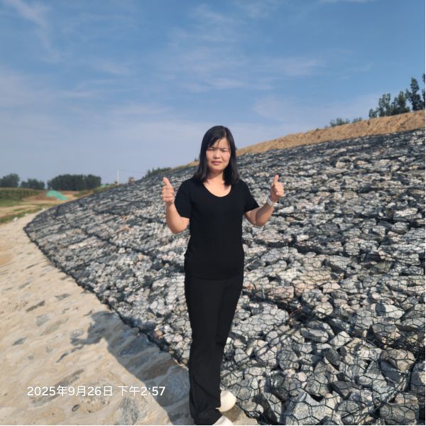 Double Twisted Flexible Corrosion Resistant Gabion Retaining Wall for Erosion Control