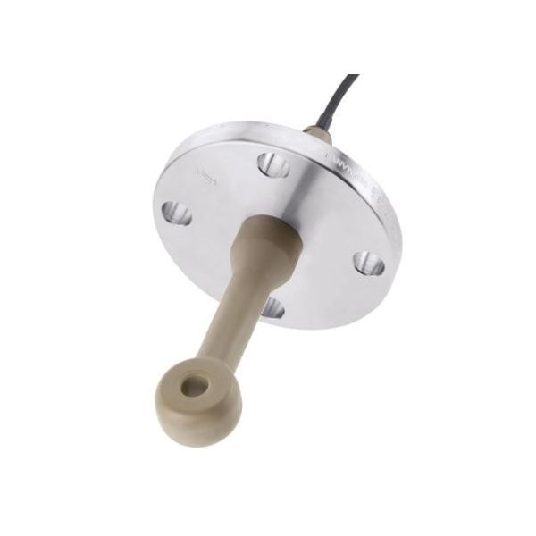 PEEK PFA Digital conductivity sensor Endress Hauser Indumax CLS50D-AA3B21