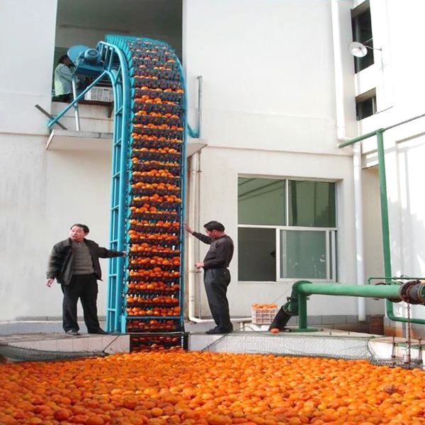 Fruit Processing Industry Fruit Conveying Machine For Juice Processing Plant