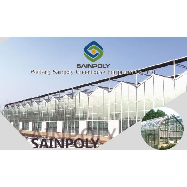 Complete Glass Greenhouse Agriculture Turnkey Project With Tomato Hydroponics System