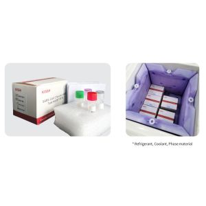 China Nucleic Acid COVID 19 Real Time PCR Test Kit SARS-CoV-2 Gene Amplification 32T on sale
