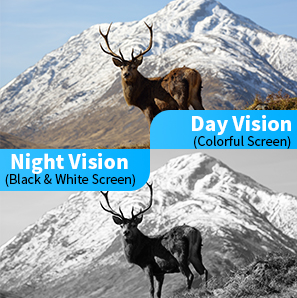 800m Long Range Low Light Night Vision Binoculars Camera NV800