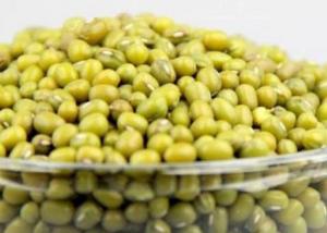 Buy cheap Dried Natural Green Mung Bean Agricultural Products product