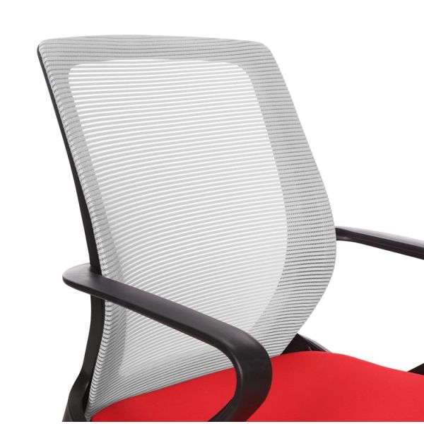 Medium Back Red Ergonomic Mesh Executive Chair, with Lumbar Support put in the office