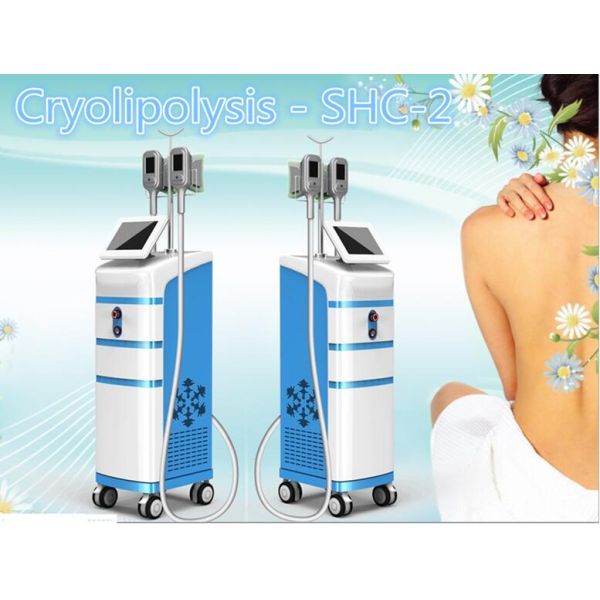 Wholesales Portable Cryolipo Venus Freeze Machine