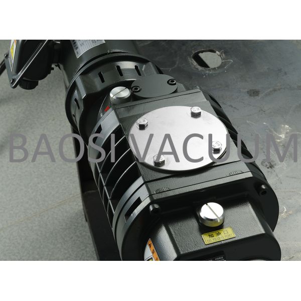 100m3/H Mechanical Roots Vane Type Vacuum Pump two stage