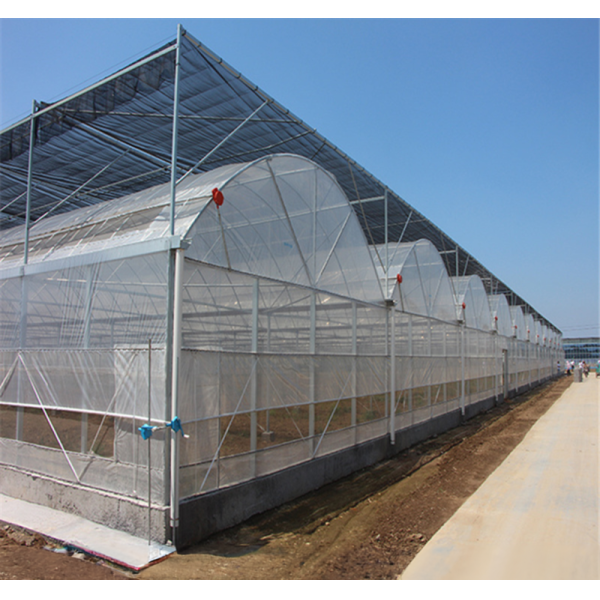 Hot Dip Galvanized Steel Tube Frame Multi Span Agricultural Greenhouse