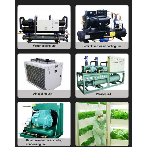 Supermarket/Shopping Mall Large Frozen And Refrigerated Fruit/Vegetable Storage Cold Storage