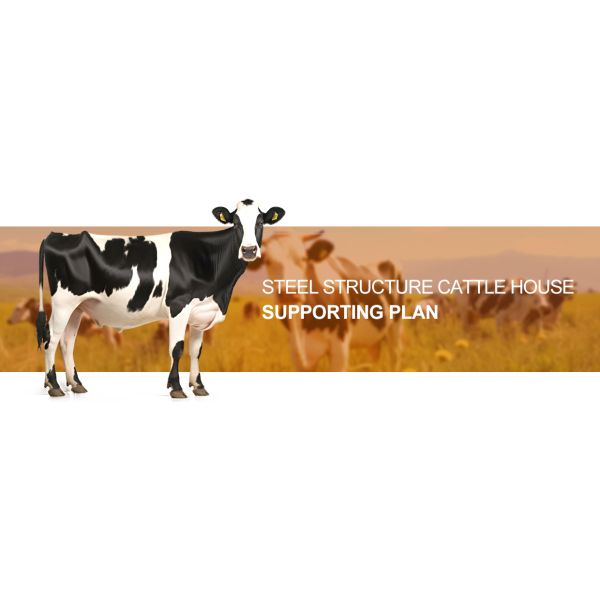 Cowshed Prefabricated with Light Steel Structure Frame and ISO9001 2008/CE/BV Certified