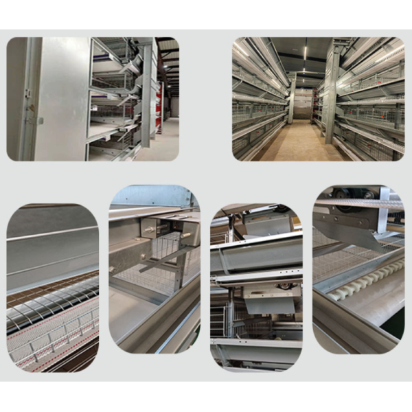 Hot-dip Galvanized Small Tier Layer Cages Easy Manure Removal Customized service