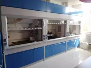 China Table Top Laboratory Fume Hood Bench Top Fume Hood Cabinet For Lab 1200mm on sale