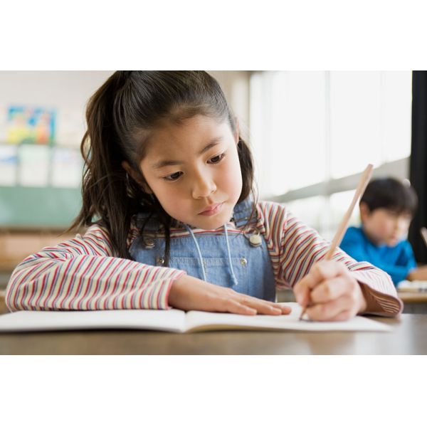 Cheapest and Good Quality Black Lead School & Office Wooden Pencil with eraser
