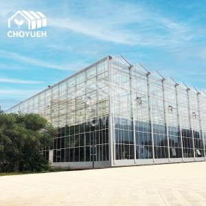 Buy cheap Venlo Transparent Glass Multi Span Greenhouses With High Light Transmission product