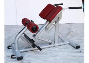 Buy cheap Pro Commercial Gym Rack Exercise Equipment Back Extension Bench product