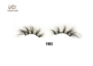 Buy cheap Modifiable Multilayer 0.06mm Dramatic Fake Lashes product