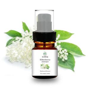 Buy cheap Natural Hydrosol Organic Elderberry Extract Muscle Soreness Relief product