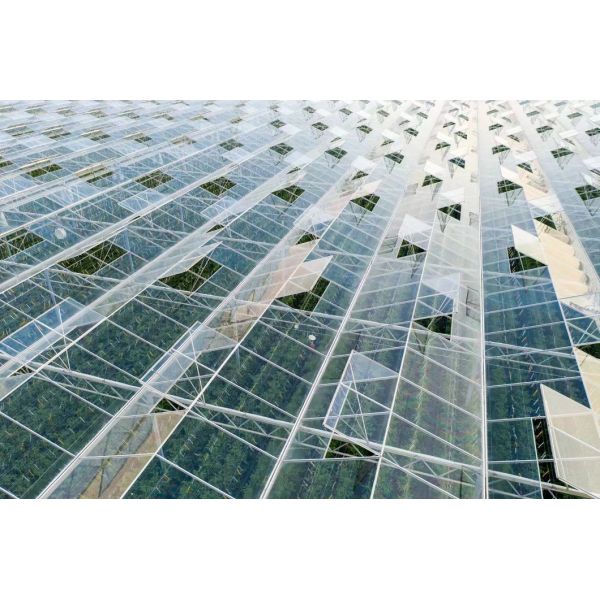 Customized Request for Drip Irrigation Glass Greenhouse Commercial Greenhouse Setup
