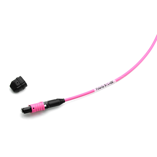 Male To Female MPO Trunk Cable Assembly 12 Fibers Polarity A OM4 OFNP Magenta Jacket
