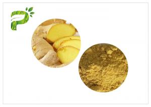 China 1.0ppm Cadmium Natural Herb Root Powder 100 Mesh Ginger Powder Tea on sale