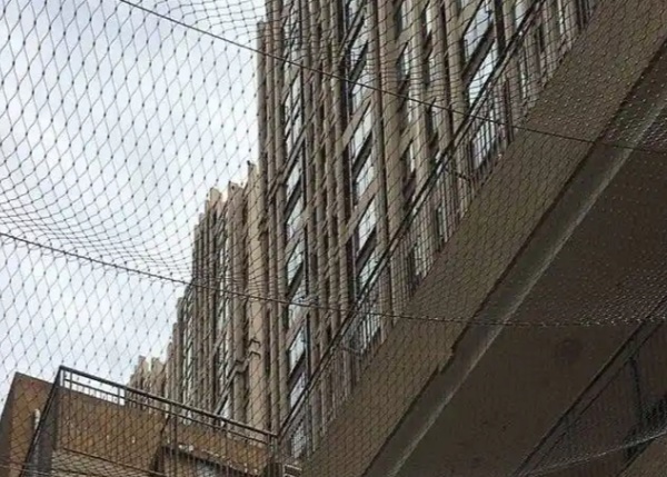 Stainless 304 Rope Mesh Custom Safety Steel Cable Netting 1m To 8m Width For Fencing