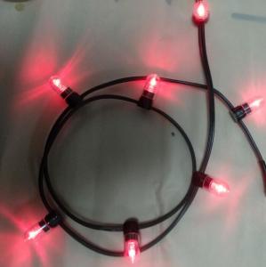 Buy cheap 12v low power led clip light 100m/roll christmas lights led string Lights red rice strings 666 bulbs product
