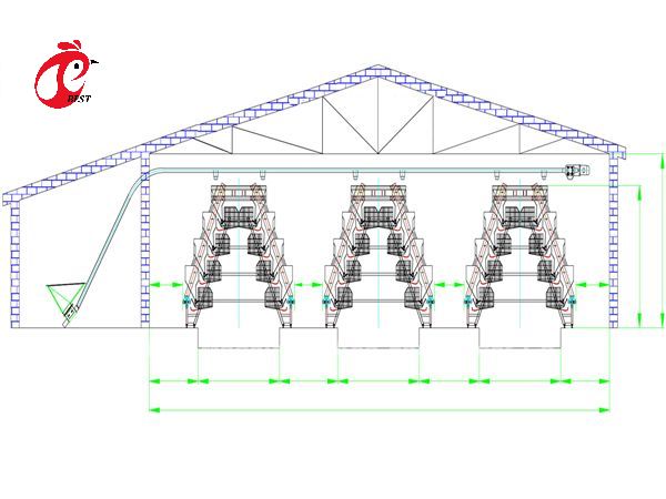 A Type Automatic Layer Cage System With Poultry Equipment In Nigeria Iris