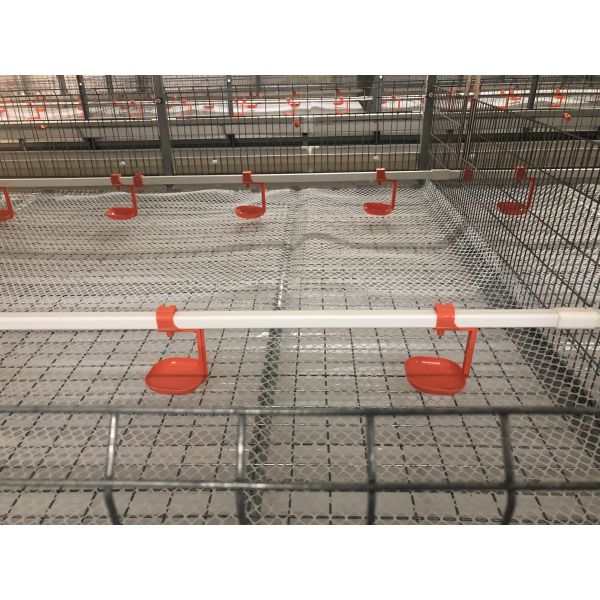 Hot-dip Galvanized Steel Pullet Cage with Automatic Egg Collection and Customizable Design Poultry Equipment