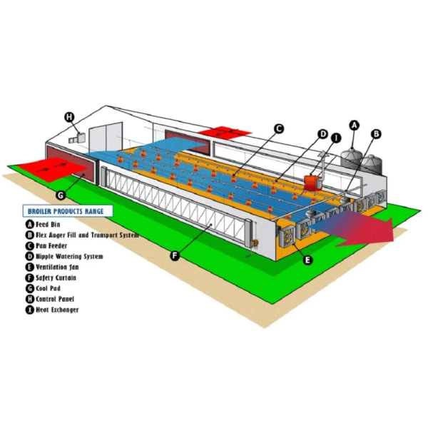 ISO Certified Prefab Poultry House Automatic Manure Removal Feeding System
