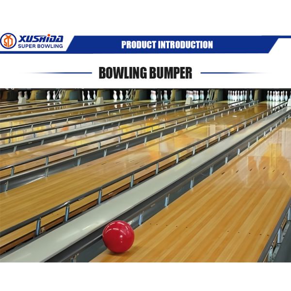 Bodybuilding Fitness Professional Manufacture Promotion for Portable Bowling Lanes