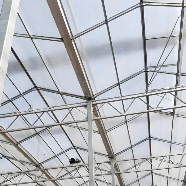 Fully Automatic Dutch Venlo Greenhouse Double layered with Evaporative Cooling