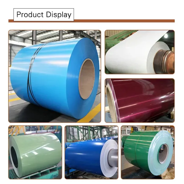 Hot Sell Galvanized Coil Galvalume Coil Galvanized PPGI/PPGL Dx52D Dx53D Dx54D Color Coated Roll