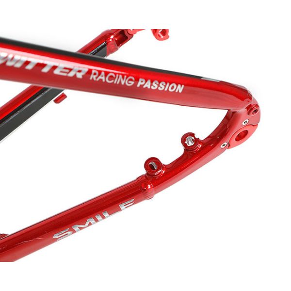 AL7005 Alloy Bicycle Frame