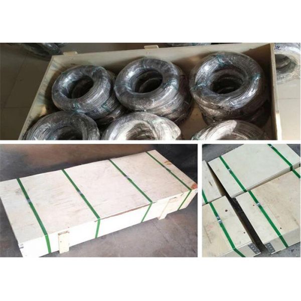 4.0mm Stainless Steel Ferrule Rope Mesh Safety Net AISI 316l 100x100mm