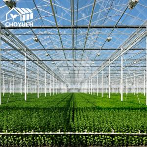 Buy cheap Polycarbonate Sheet Venlo Type Greenhouse Roof Ventilation product