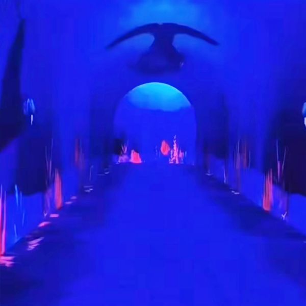 Immersive Flexible Curved LED Videos Walls Display 3D Interactive Tunnel LED Screen